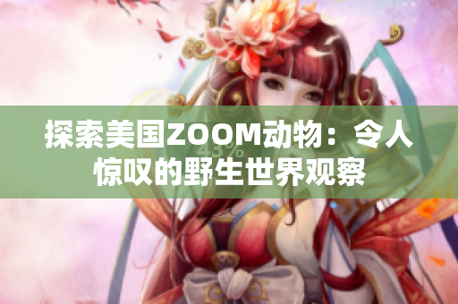 探索美国ZOOM动物：令人惊叹的野生世界观察