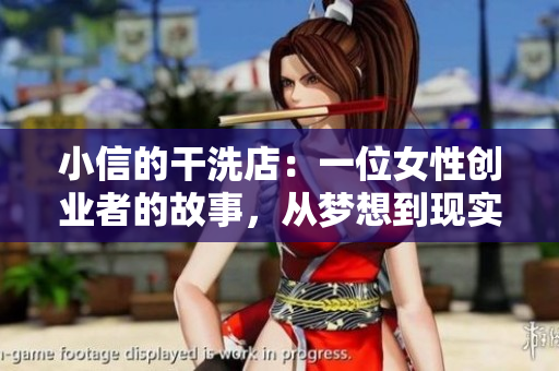 小信的干洗店：一位女性创业者的故事，从梦想到现实的四季征程