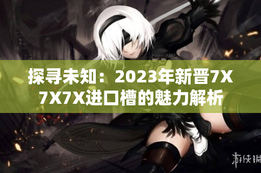 探寻未知：2023年新晋7X7X7X进口槽的魅力解析