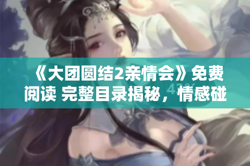 《大团圆结2亲情会》免费阅读 完整目录揭秘，情感碰撞与真情交融！