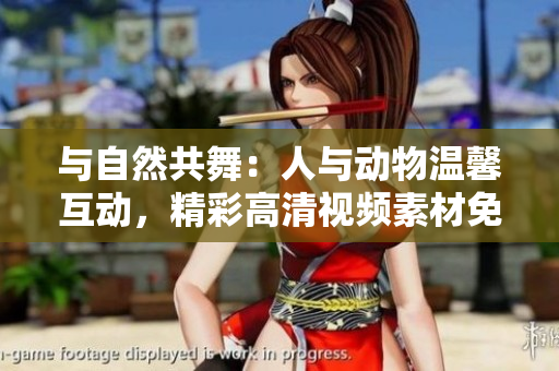 与自然共舞：人与动物温馨互动，精彩高清视频素材免费下载