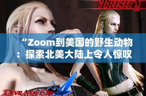 “Zoom到美国的野生动物：探索北美大陆上令人惊叹的生物多样性！”