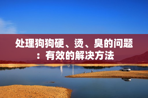 处理狗狗硬、烫、臭的问题：有效的解决方法