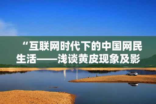 “互联网时代下的中国网民生活——浅谈黄皮现象及影响”