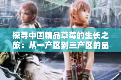 探寻中国精品草莓的生长之旅：从一产区到三产区的品质差异揭秘