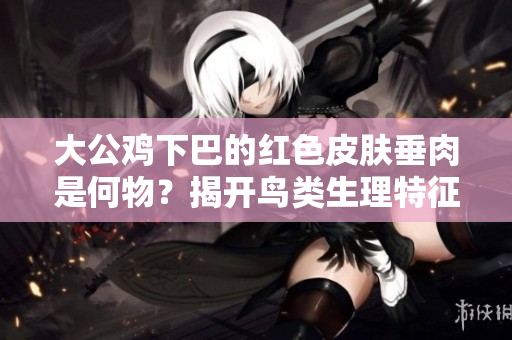 大公鸡下巴的红色皮肤垂肉是何物？揭开鸟类生理特征的奥秘