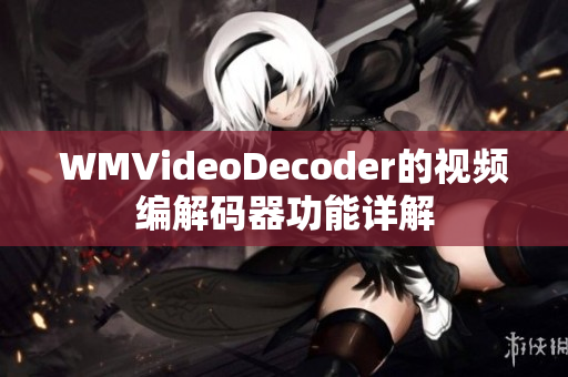 WMVideoDecoder的视频编解码器功能详解