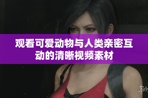 观看可爱动物与人类亲密互动的清晰视频素材