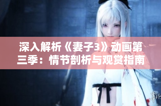 深入解析《妻子3》动画第三季：情节剖析与观赏指南