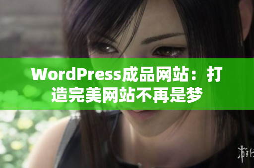 WordPress成品网站：打造完美网站不再是梦