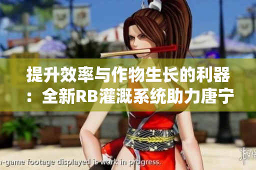 提升效率与作物生长的利器：全新RB灌溉系统助力唐宁农业