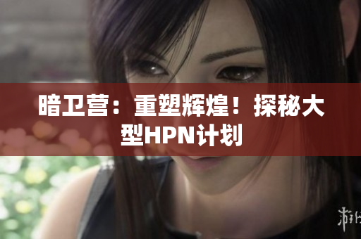 暗卫营：重塑辉煌！探秘大型HPN计划