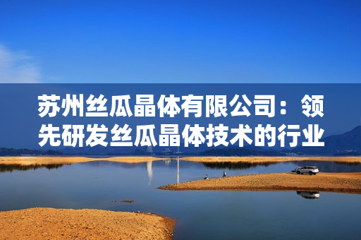 苏州丝瓜晶体有限公司：领先研发丝瓜晶体技术的行业领军企业