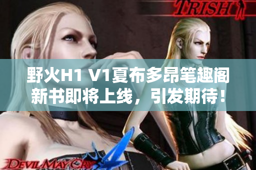 野火H1 V1夏布多昂笔趣阁新书即将上线，引发期待！