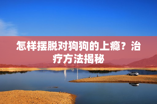 怎样摆脱对狗狗的上瘾？治疗方法揭秘