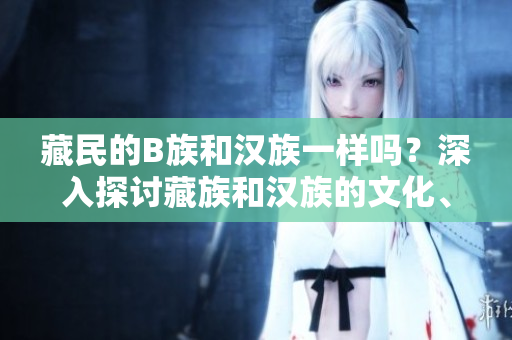 藏民的B族和汉族一样吗？深入探讨藏族和汉族的文化、习俗及生活方式