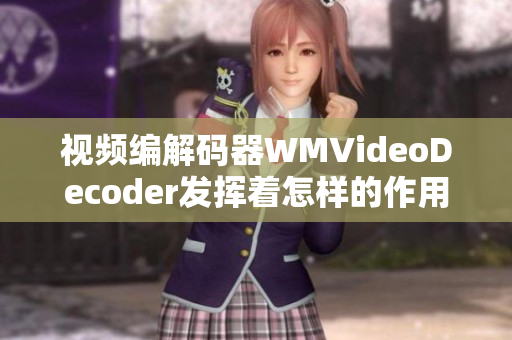 视频编解码器WMVideoDecoder发挥着怎样的作用？