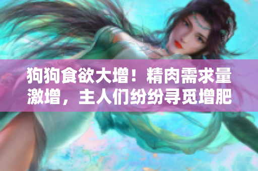 狗狗食欲大增！精肉需求量激增，主人们纷纷寻觅增肥食品