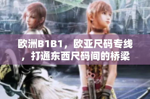 欧洲B1B1，欧亚尺码专线，打通东西尺码间的桥梁