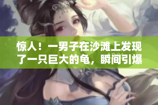 惊人！一男子在沙滩上发现了一只巨大的龟，瞬间引爆网络！