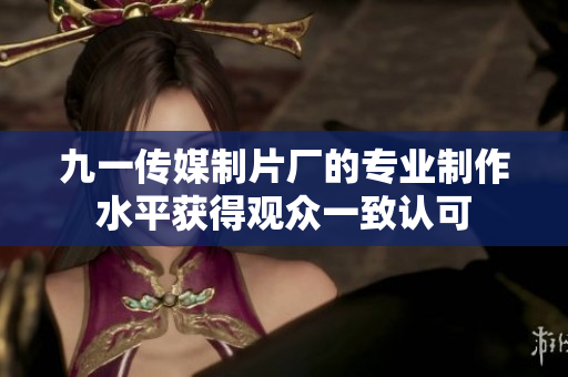 九一传媒制片厂的专业制作水平获得观众一致认可