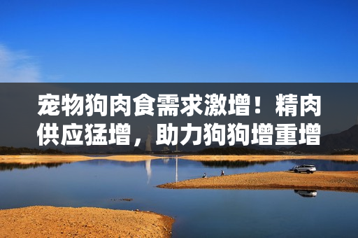 宠物狗肉食需求激增！精肉供应猛增，助力狗狗增重增食欲