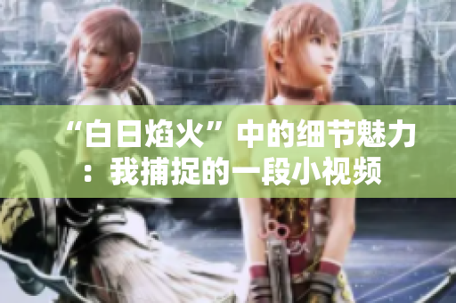 “白日焰火”中的细节魅力：我捕捉的一段小视频