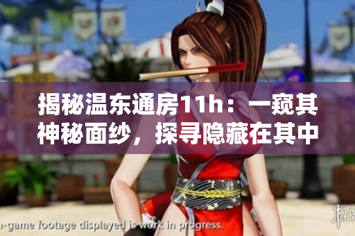 揭秘温东通房11h：一窥其神秘面纱，探寻隐藏在其中的故事