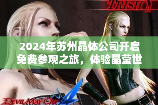 2024年苏州晶体公司开启免费参观之旅，体验晶莹世界