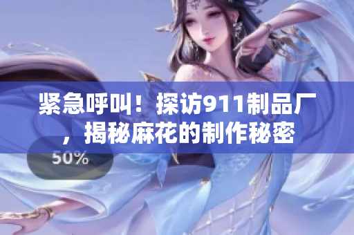 紧急呼叫！探访911制品厂，揭秘麻花的制作秘密