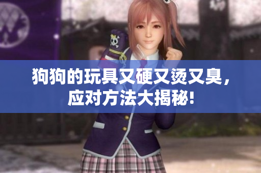 狗狗的玩具又硬又烫又臭，应对方法大揭秘!
