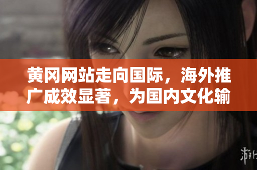 黄冈网站走向国际，海外推广成效显著，为国内文化输出树立榜样