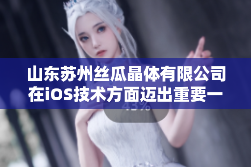 山东苏州丝瓜晶体有限公司在iOS技术方面迈出重要一步