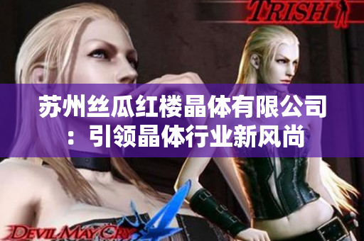 苏州丝瓜红楼晶体有限公司：引领晶体行业新风尚