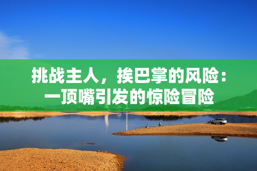 挑战主人，挨巴掌的风险：一顶嘴引发的惊险冒险
