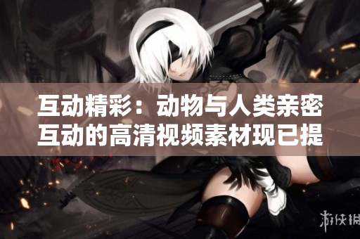 互动精彩：动物与人类亲密互动的高清视频素材现已提供下载