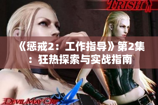 《惩戒2：工作指导》第2集：狂热探索与实战指南