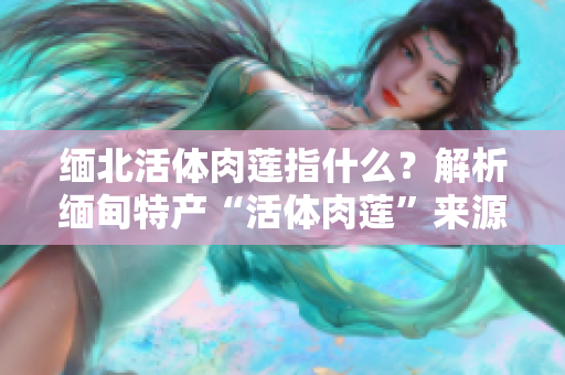 缅北活体肉莲指什么？解析缅甸特产“活体肉莲”来源与品鉴技巧