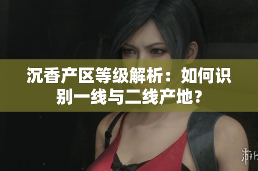 沉香产区等级解析：如何识别一线与二线产地？