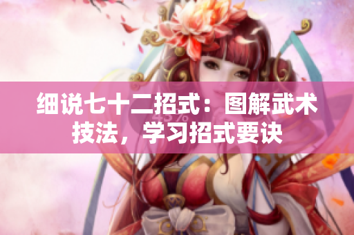 细说七十二招式：图解武术技法，学习招式要诀