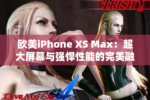 欧美iPhone XS Max：超大屏幕与强悍性能的完美融合