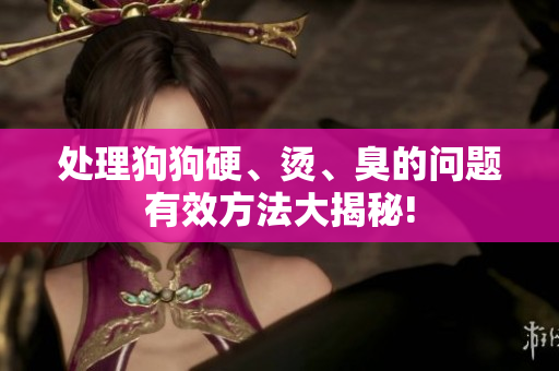处理狗狗硬、烫、臭的问题有效方法大揭秘!