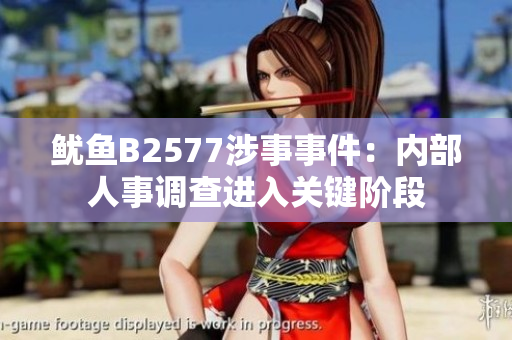 鱿鱼B2577涉事事件：内部人事调查进入关键阶段