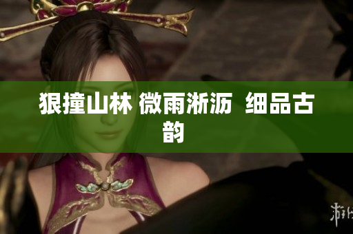 狠撞山林 微雨淅沥  细品古韵 