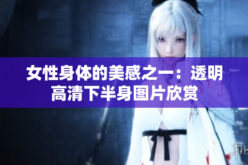 女性身体的美感之一：透明高清下半身图片欣赏