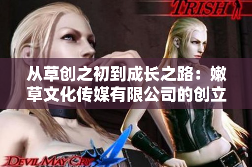从草创之初到成长之路：嫩草文化传媒有限公司的创立历程