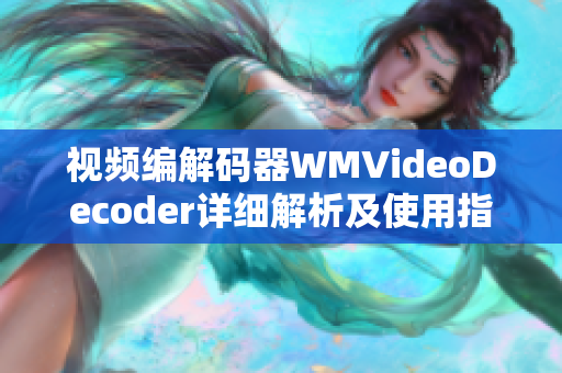 视频编解码器WMVideoDecoder详细解析及使用指南