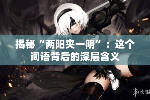 揭秘“两阳夹一阴”：这个词语背后的深层含义