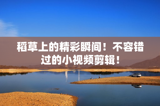 稻草上的精彩瞬间！不容错过的小视频剪辑！