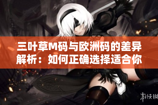 三叶草M码与欧洲码的差异解析：如何正确选择适合你的尺码